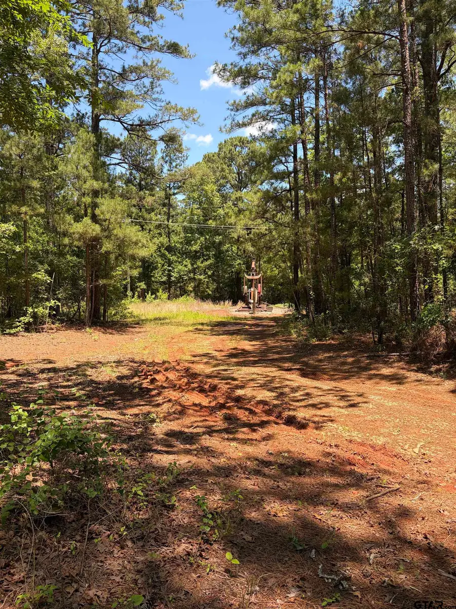 9018 Hwy 64, Overton, TX 75684 - #3
