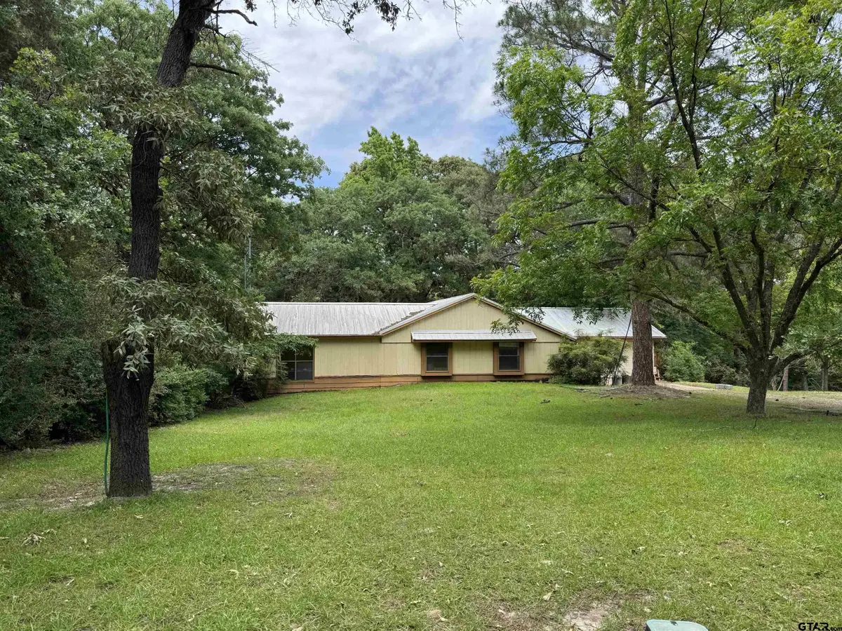 289 Llano Bend, Holly Lake Ranch, TX 75765 - #1