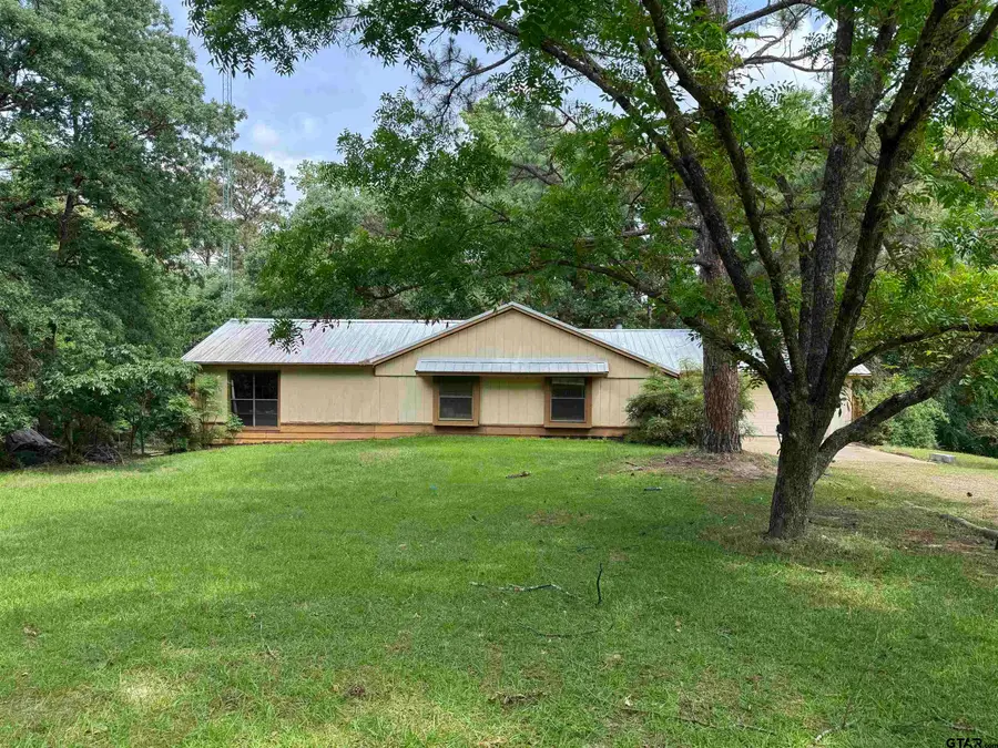 289 Llano Bend, Holly Lake Ranch, TX 75765 - #3