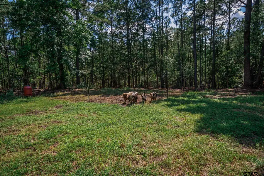 5230 FM 1404, Gilmer, TX 75645 - #3