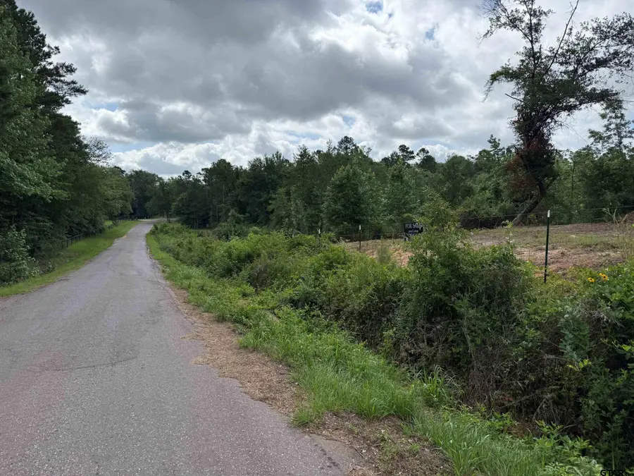 TBD CR 385, Tyler, TX 75708 - #3