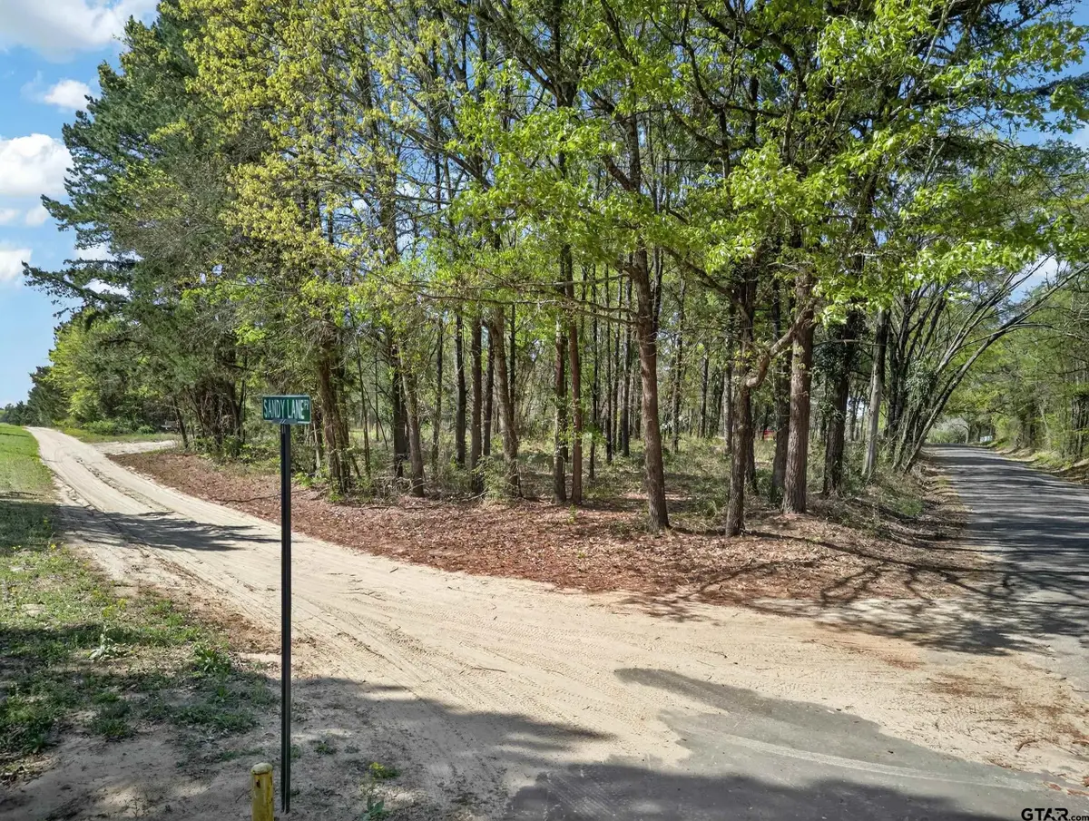 142 Sandy Lane, Bullard, TX 75757 - #1