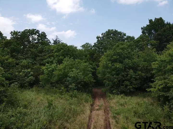 14546 HWY 271, Tyler, TX 75701 - #2