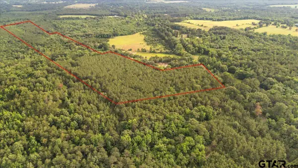 TBD S Fm 225, Laneville,  75667