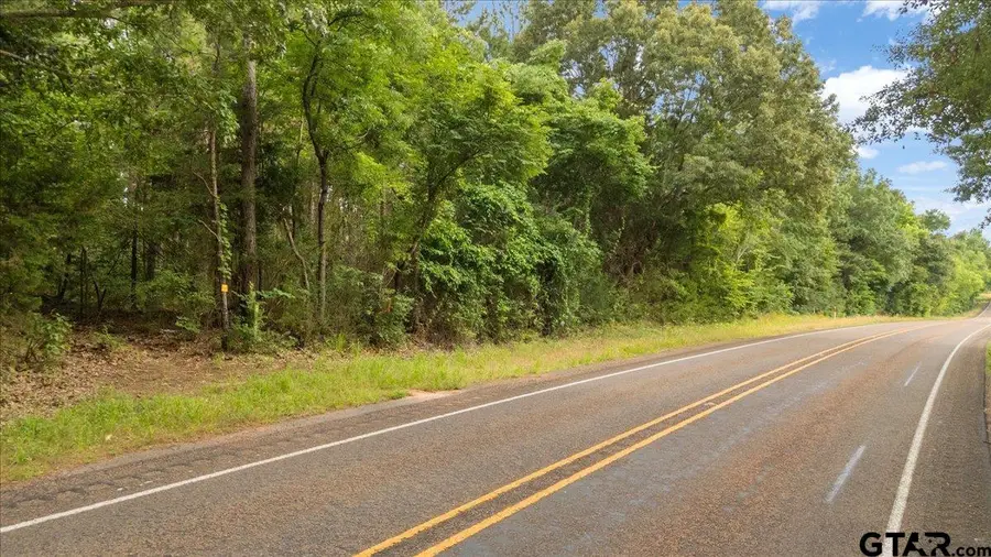 TBD S Fm 225, Laneville, TX 75667 - #3