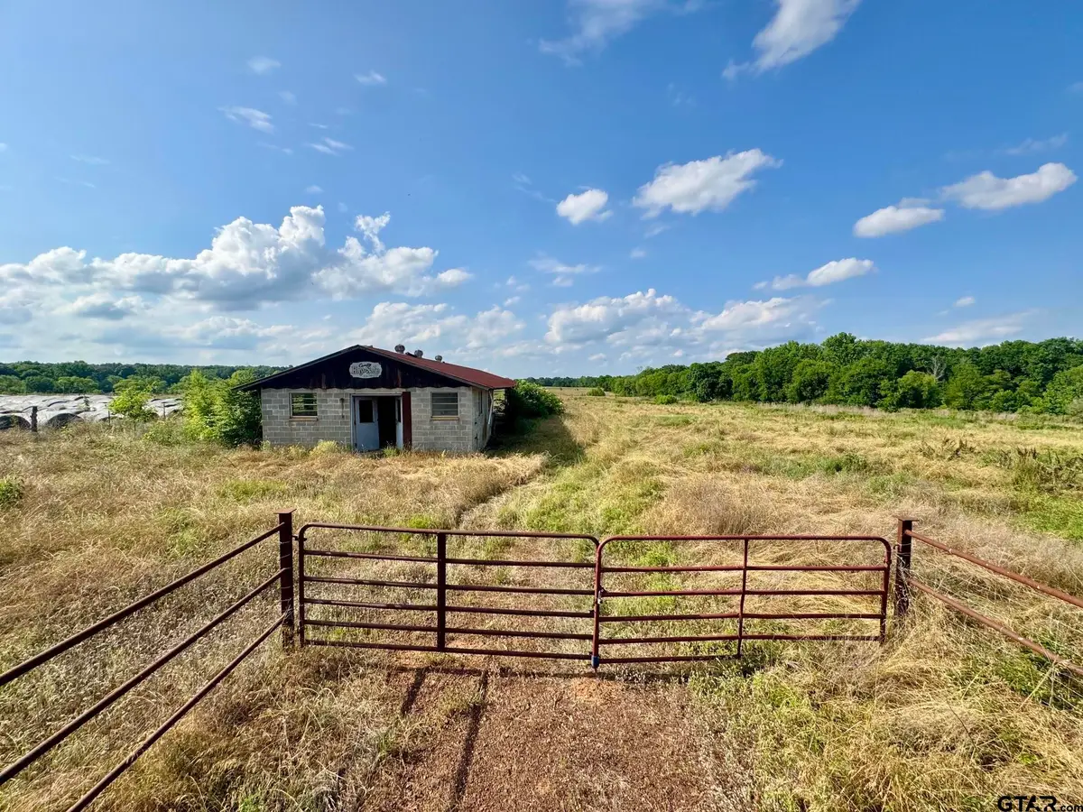 TBD FM 2659, Big Sandy, TX 75755 - #1