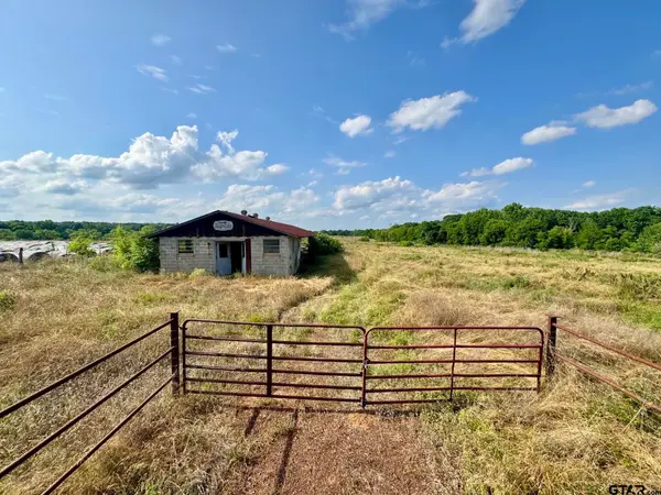 TBD FM 2659, Big Sandy, TX 75755