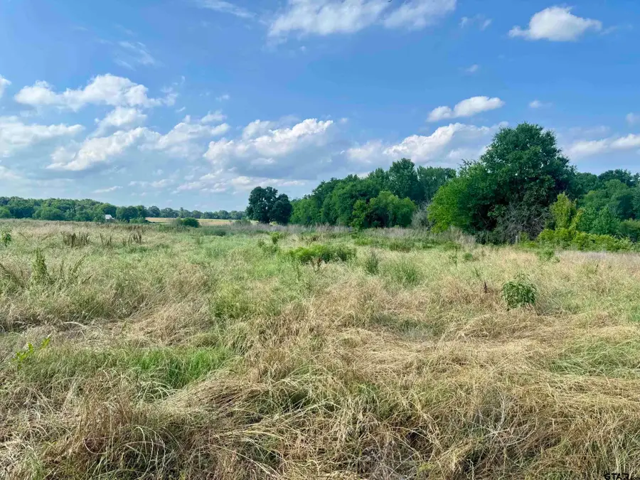 TBD FM 2659, Big Sandy, TX 75755 - #2