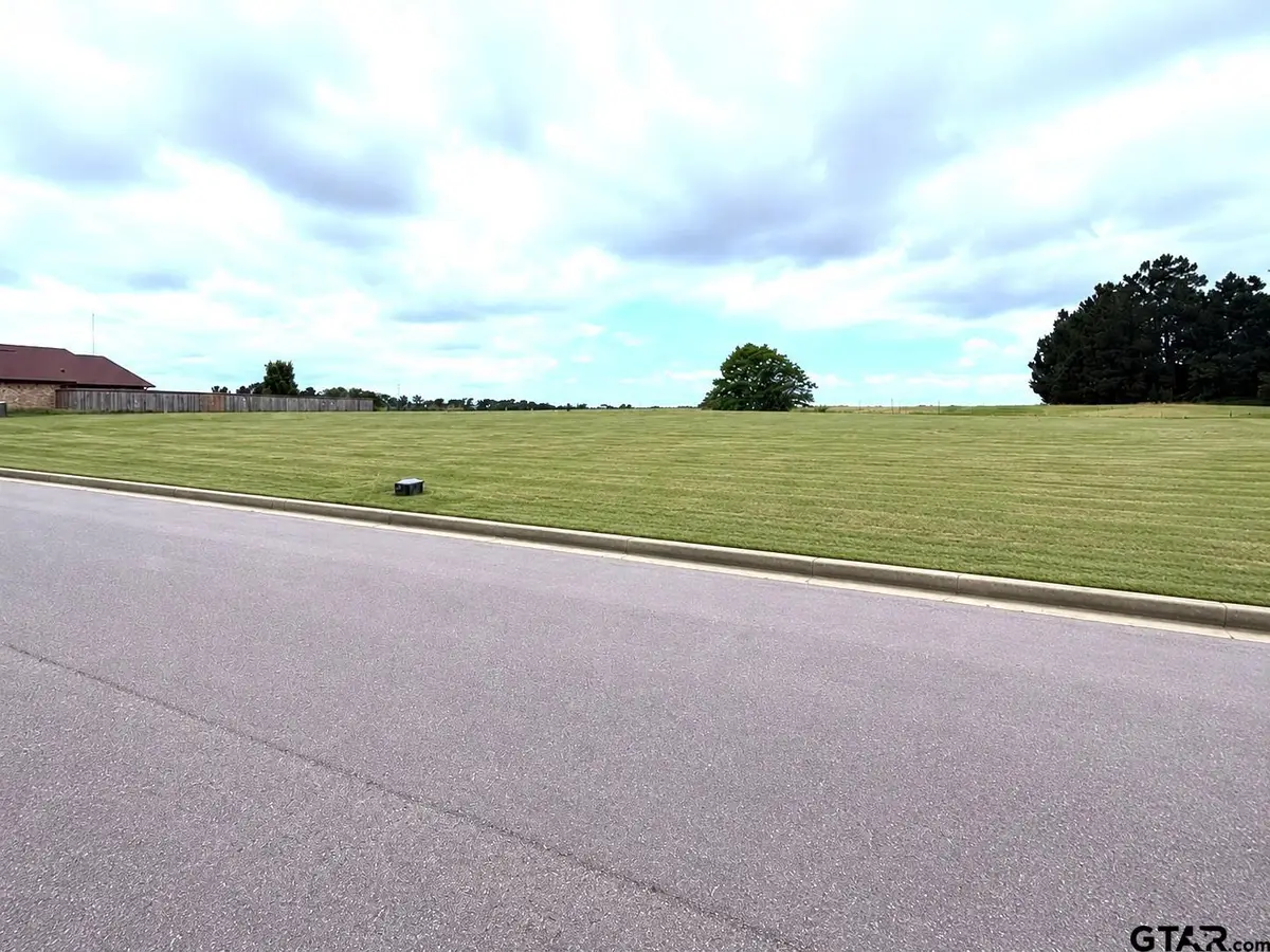 LOT 77 & 78 Dela Cruz Drive, Winnsboro, TX 75494 - #1