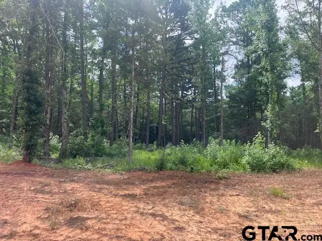 TBD High Pines Drive, Tyler, TX 75708 - #2