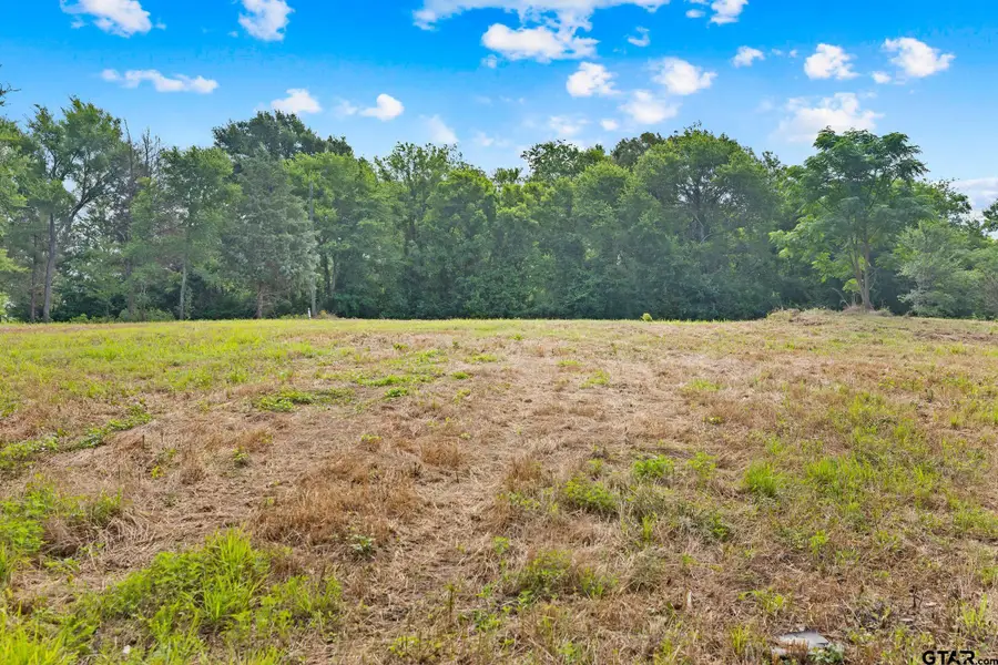 TBD County Road 4112 Lot 2, Lindale, TX 75771 - #2