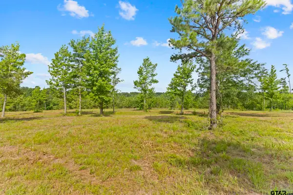 TBD County Road 4112 Lot 3, Lindale, TX 75771