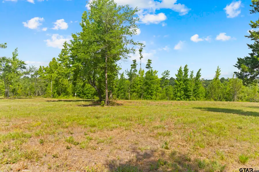 TBD County Road 4112 Lot 4, Lindale, TX 75771 - #2