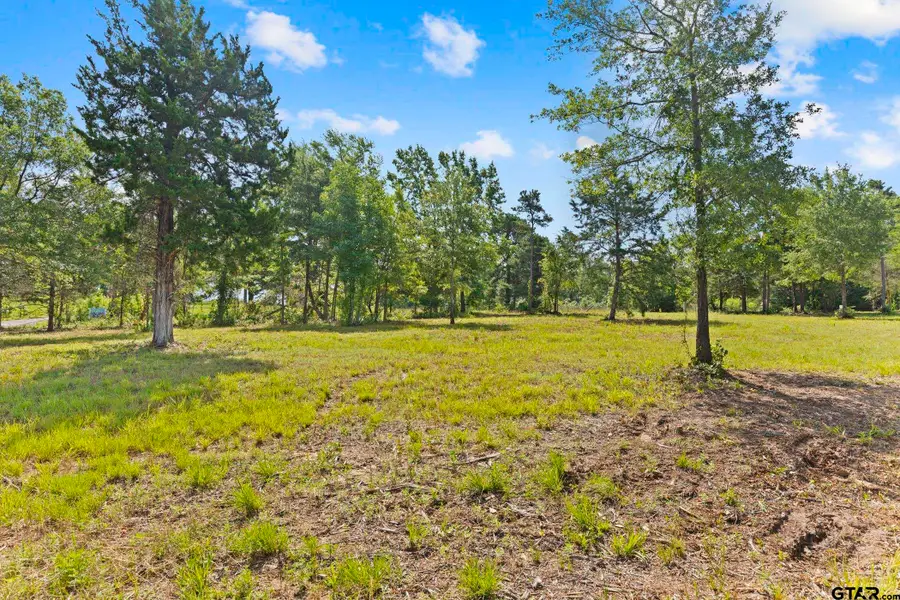 TBD County Road 4112 Lot 4, Lindale, TX 75771 - #3