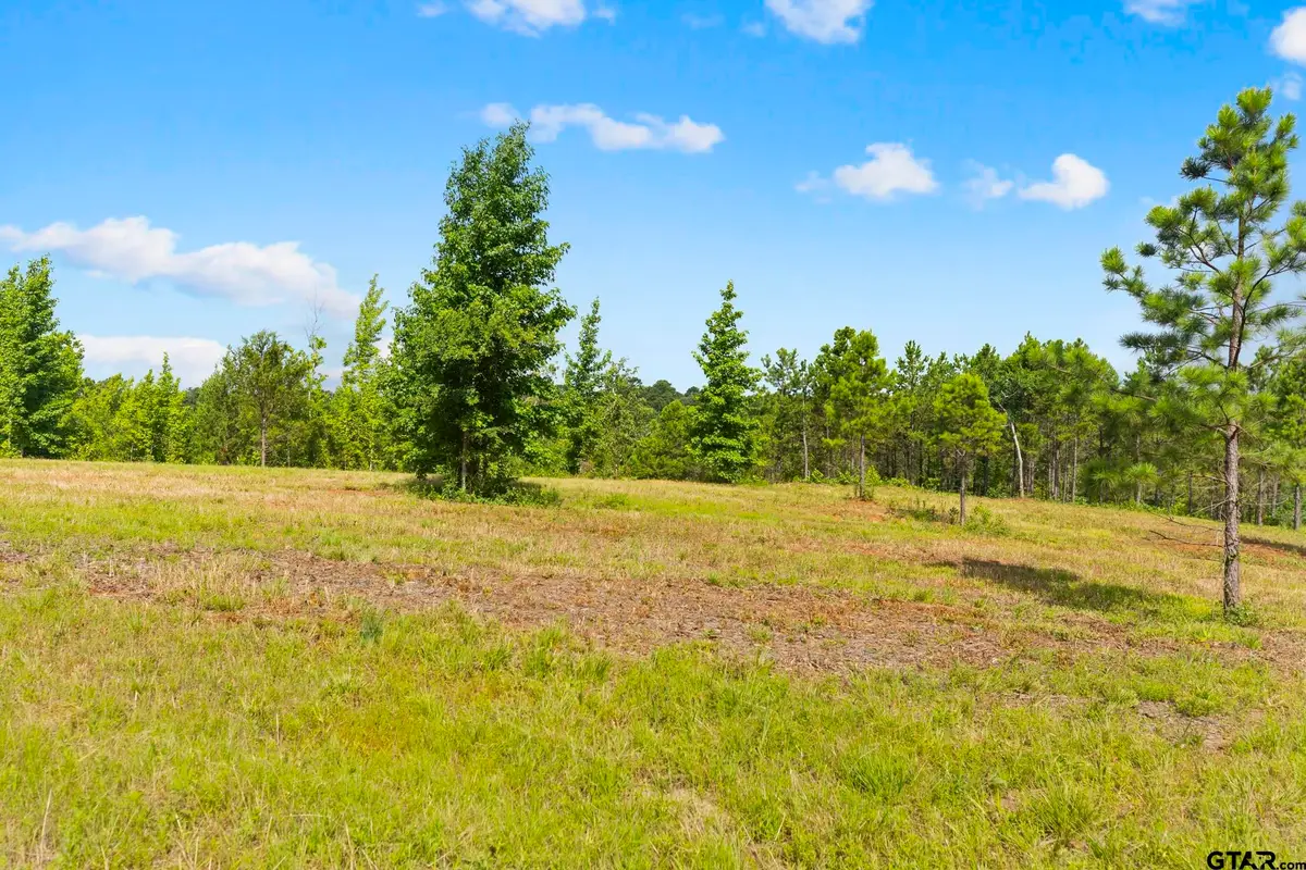 TBD County Road 4112 Lot 5, Lindale, TX 75771 - #1