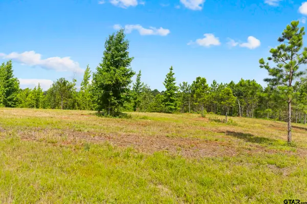TBD County Road 4112 Lot 5, Lindale, TX 75771