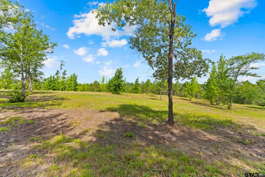 TBD County Road 4112 Lot 5, Lindale, TX 75771 - #3
