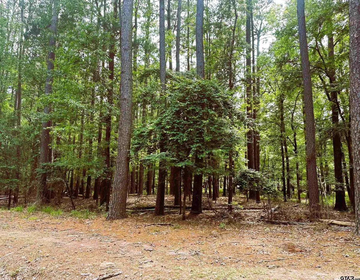 8 Fawns Crossing Dr, Mount Vernon, TX 75457 - #1