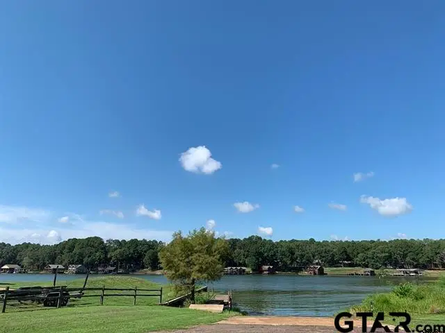 8 Fawns Crossing Dr, Mount Vernon, TX 75457 - #3