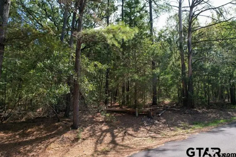 18 Angelina st, Mount Vernon, TX 75457 - #1