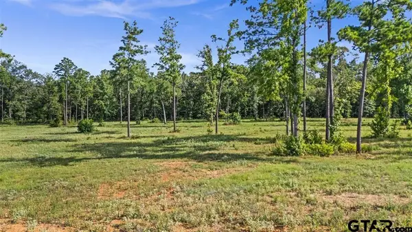 15810 Aniston Lane, Flint, TX 75762