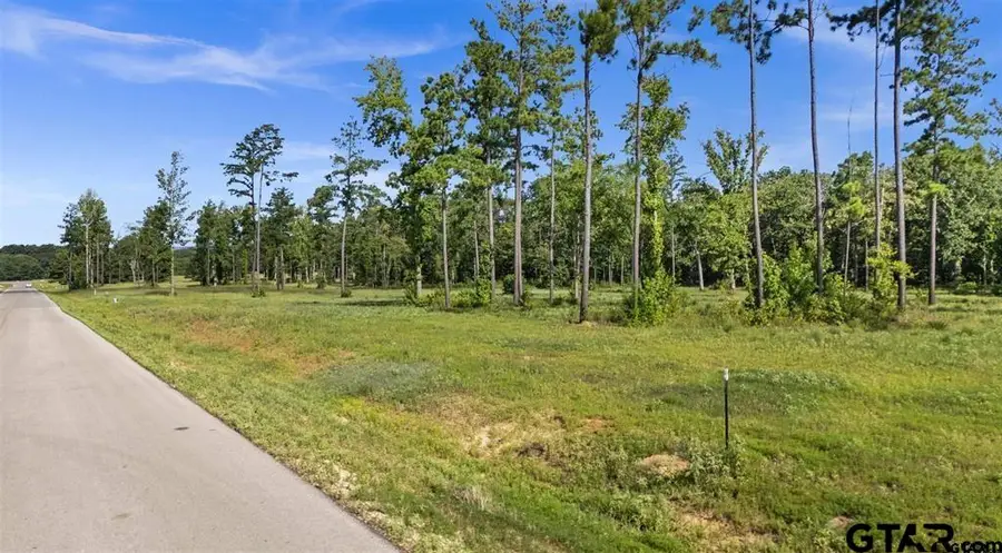 15810 Aniston Lane, Flint, TX 75762 - #2