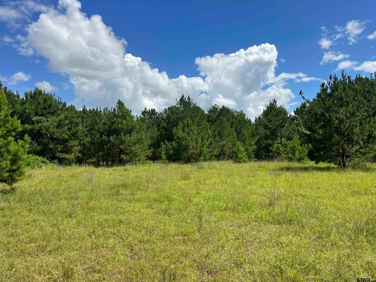 TBD S Cr 218d, Henderson, TX 75652 - #1