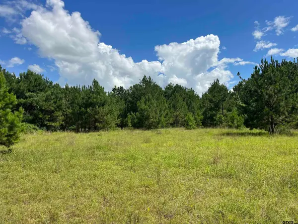 TBD S Cr 218d, Henderson,  75652