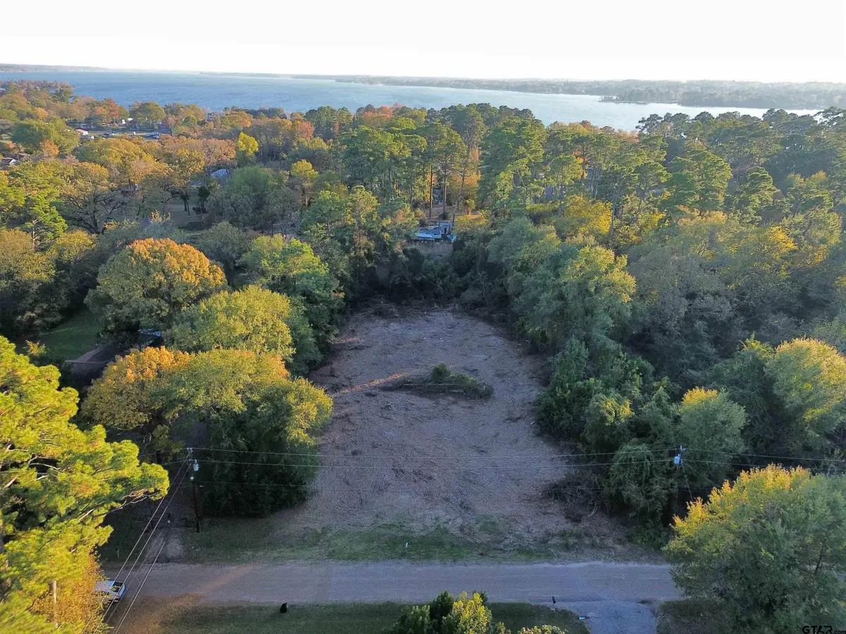 21194 Sylvan Ln, Chandler Brownsboro, TX 75758 - #1