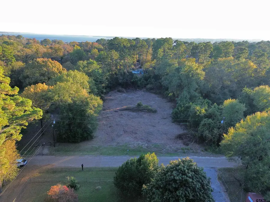 21194 Sylvan Ln, Chandler Brownsboro, TX 75758 - #2