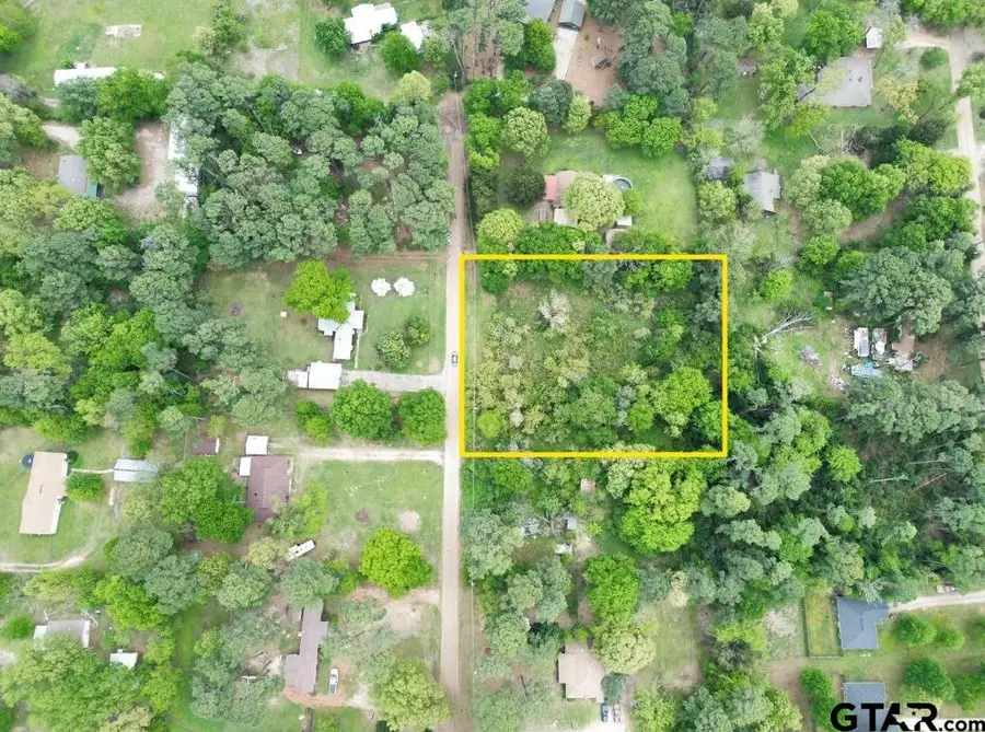 21194 Sylvan Ln, Chandler Brownsboro, TX 75758 - #3