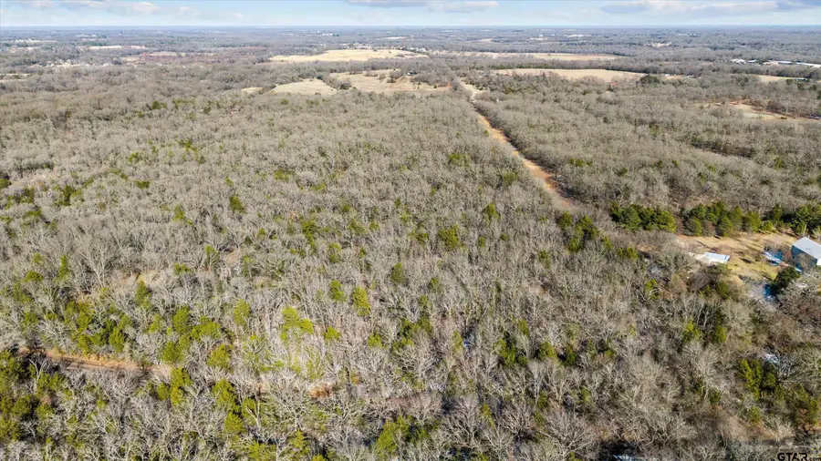 TBD County Road 3105 - 5 Acres, Edgewood, TX 75117 - #2