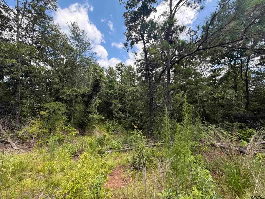 0000 State Hwy 204, 15 Acres, Rusk, TX 75785 - #2