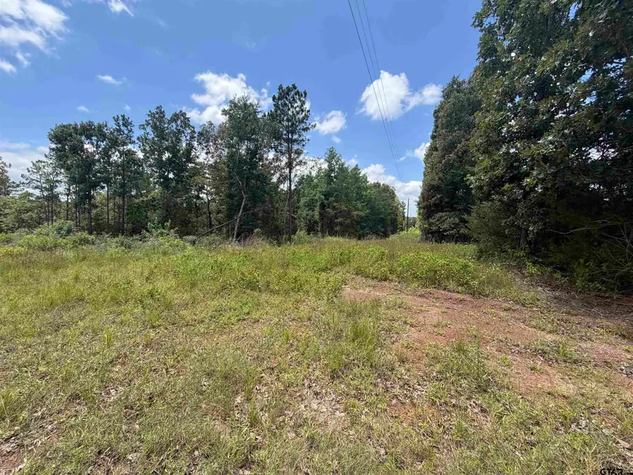 0000 State Hwy 204, 15 Acres, Rusk, TX 75785 - #3