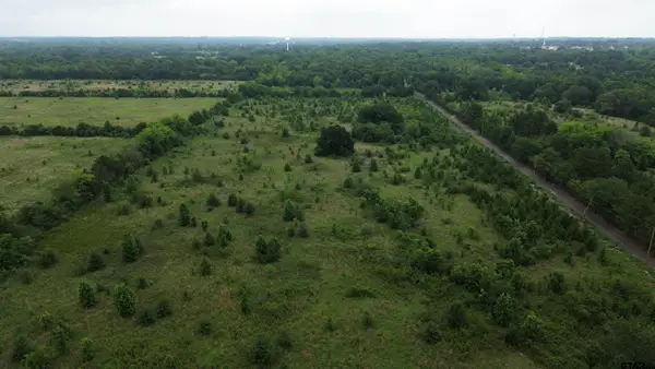 TBD Cr 2805 (holland Road), Mineola, TX 75773