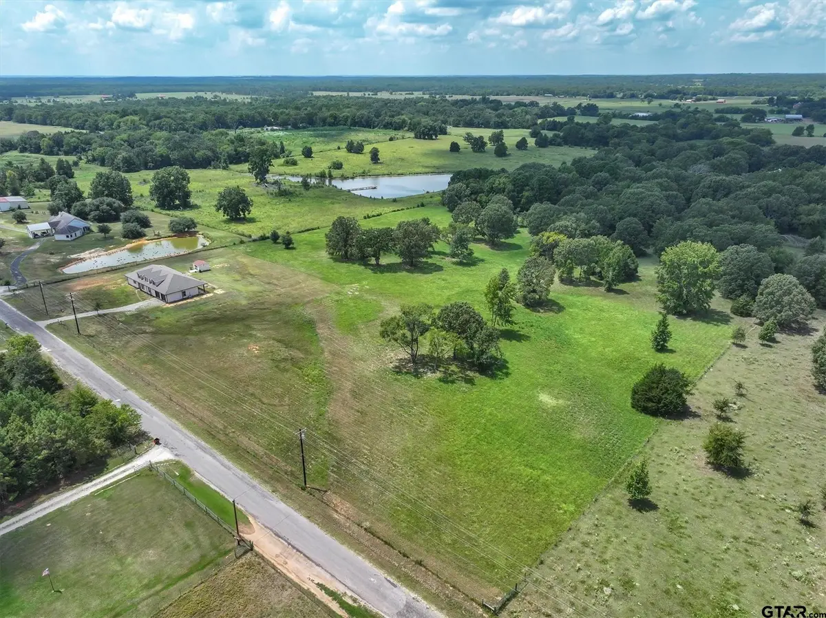 Lot 1 VZ County Road 4607, Ben Wheeler, TX 75754 - #1