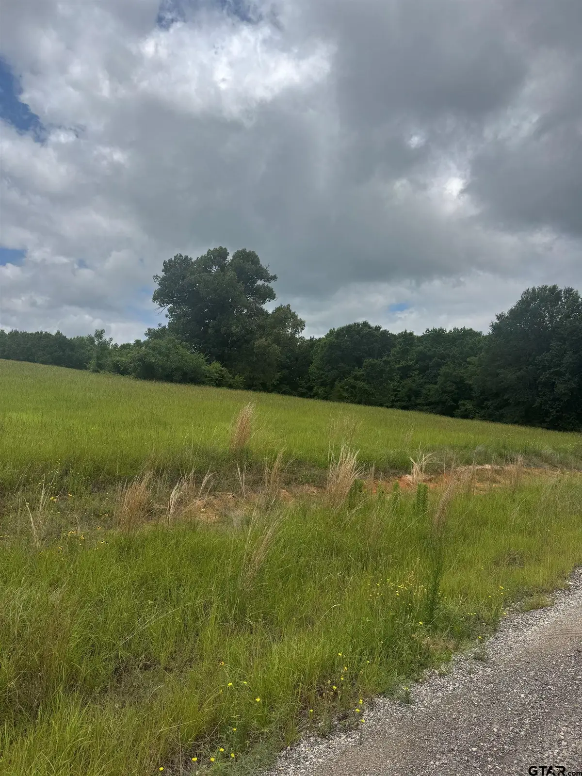 TBD Belles Lane, Brownsboro, TX 75756 - #1
