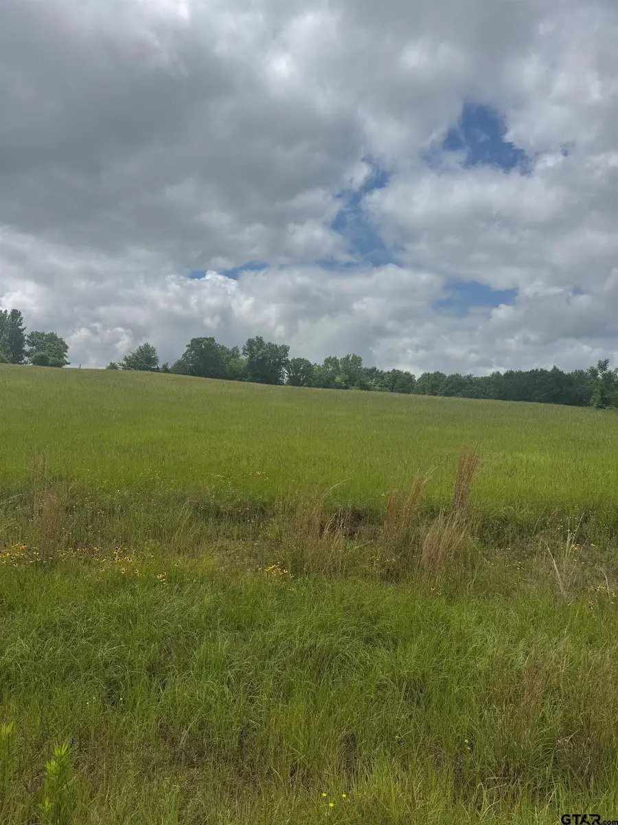 TBD Belles Lane, Brownsboro, TX 75756 - #2