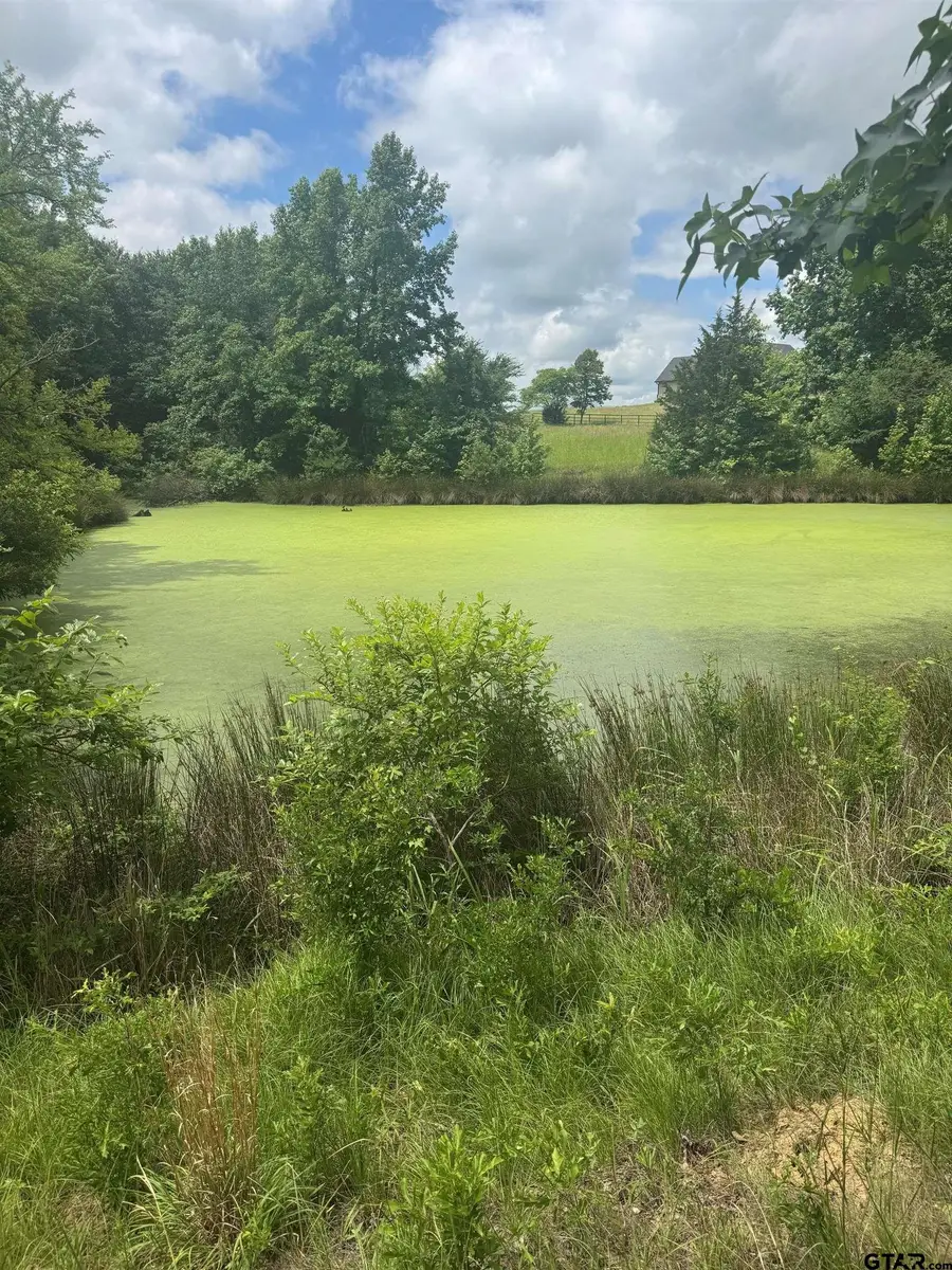 TBD Belles Lane, Brownsboro, TX 75756 - #3