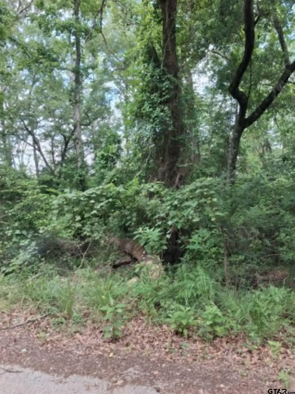 tbd Dogwood drive, Murchison, TX 75778 - #1