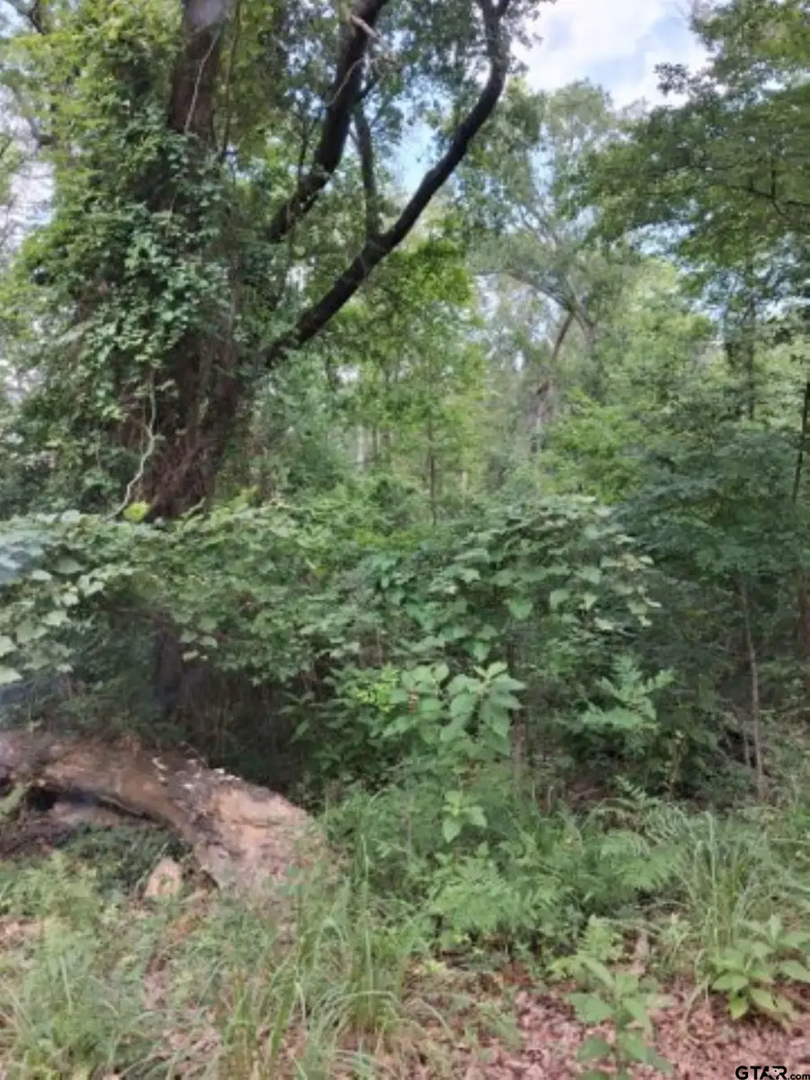 tbd Dogwood drive, Murchison, TX 75778 - #2