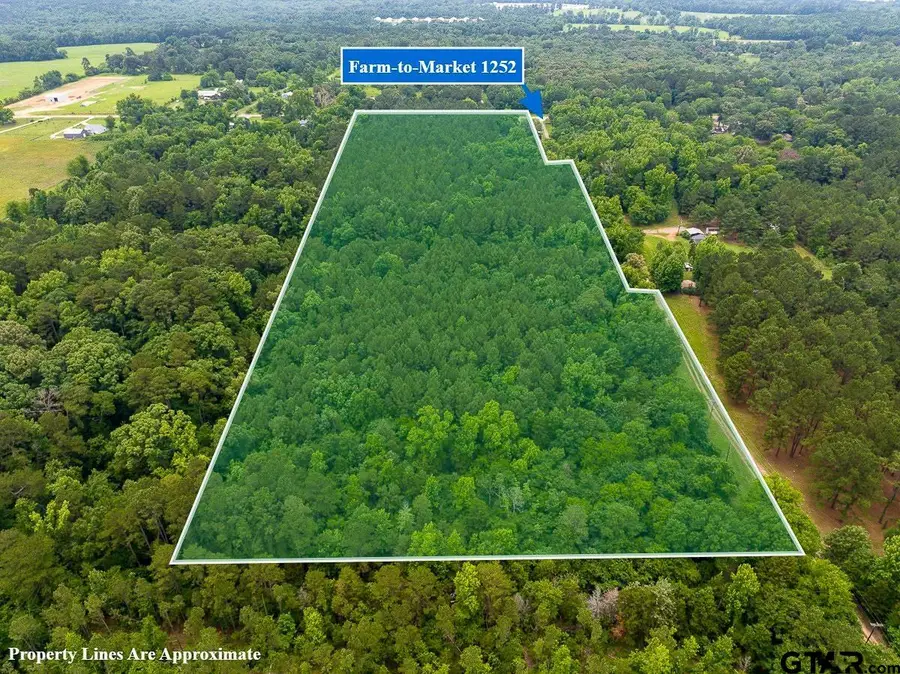 21135 FM 1252, Winona, TX 75706 - #2