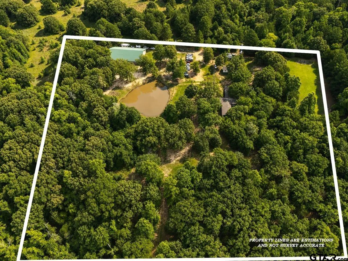 252 Private Road 6955, Alba, TX 75410 - #1