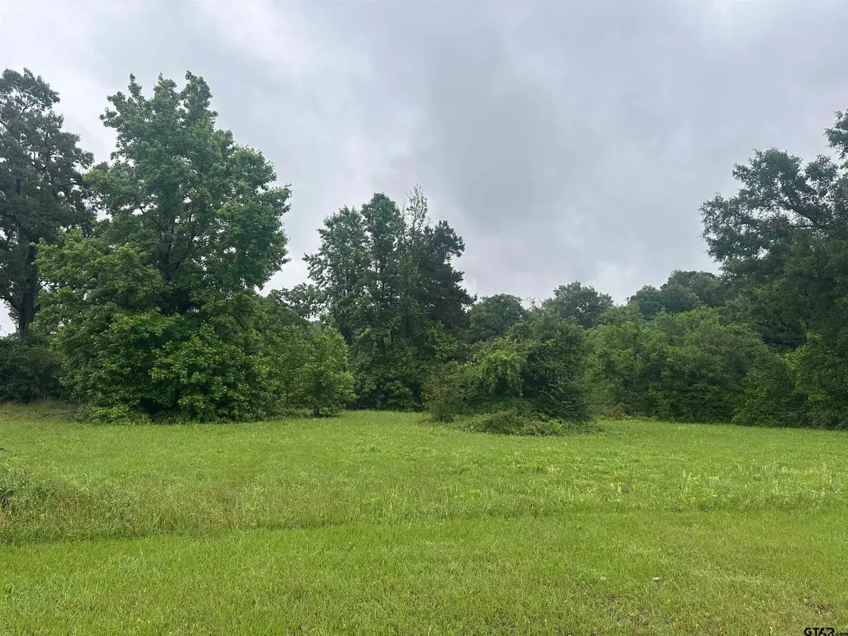 TBD Highway 64 W, Tyler, TX 75704 - #1