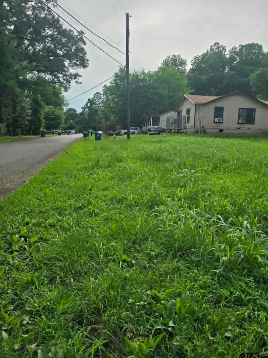 800 Webb, Daingerfield, TX 75638 - #3