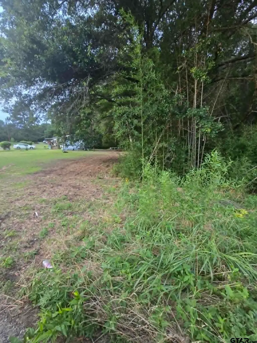 TBD W Highway 49, Daingerfield, TX 75638 - #2