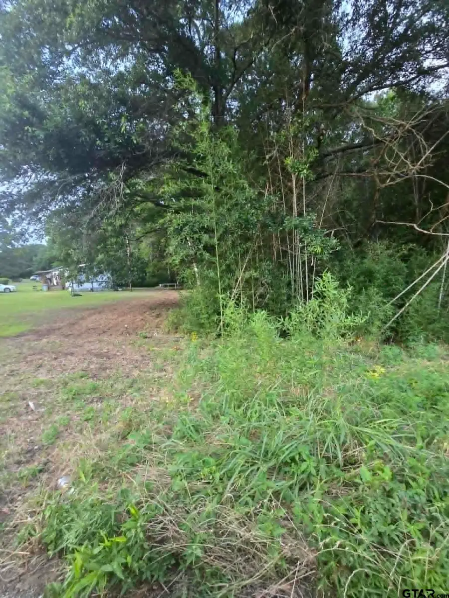 TBD W Highway 49, Daingerfield, TX 75638 - #3