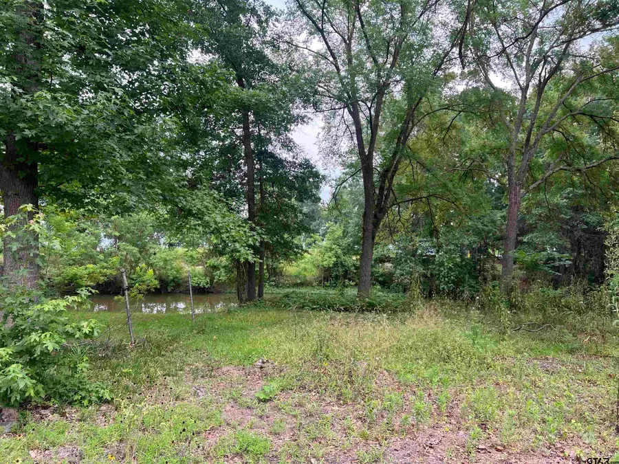 21307 Dulse Cir, Chandler Brownsboro, TX 75758 - #3