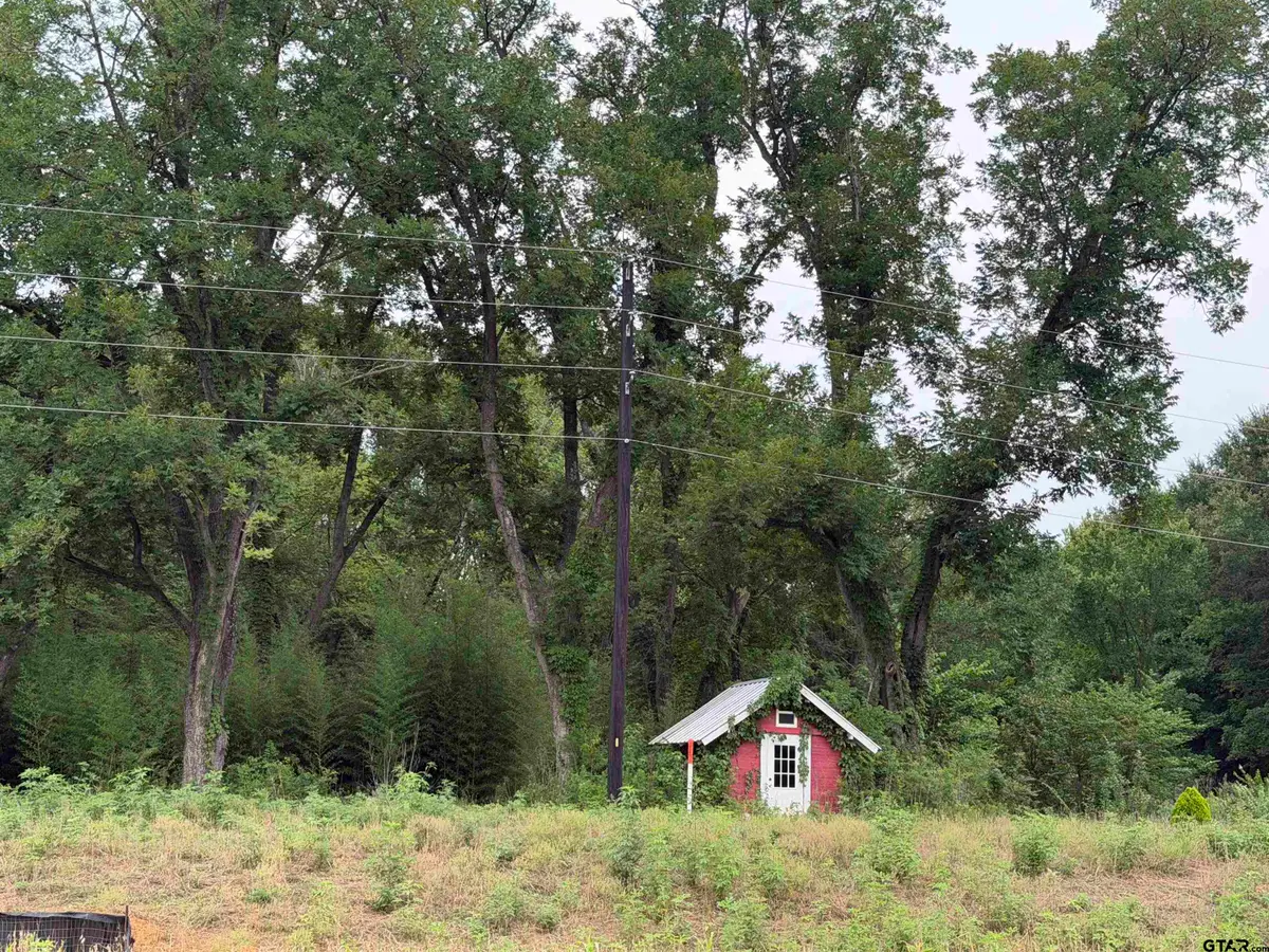 18171 FM 16 Lot #6, Lindale, TX 75771 - #1