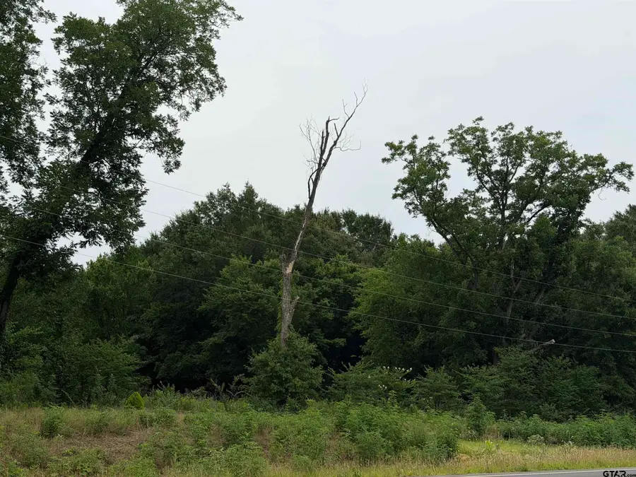18171 FM 16 Lot #6, Lindale, TX 75771 - #2